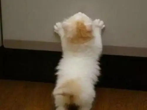 童年往事 - 抱取 童年往事 - 抱取