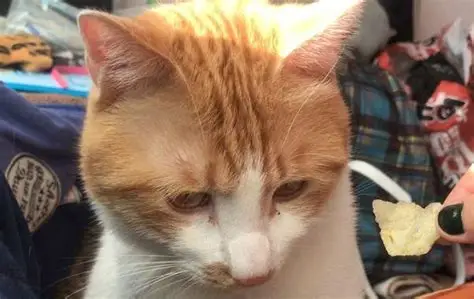 童年往事 - 抱取 童年往事 - 抱取