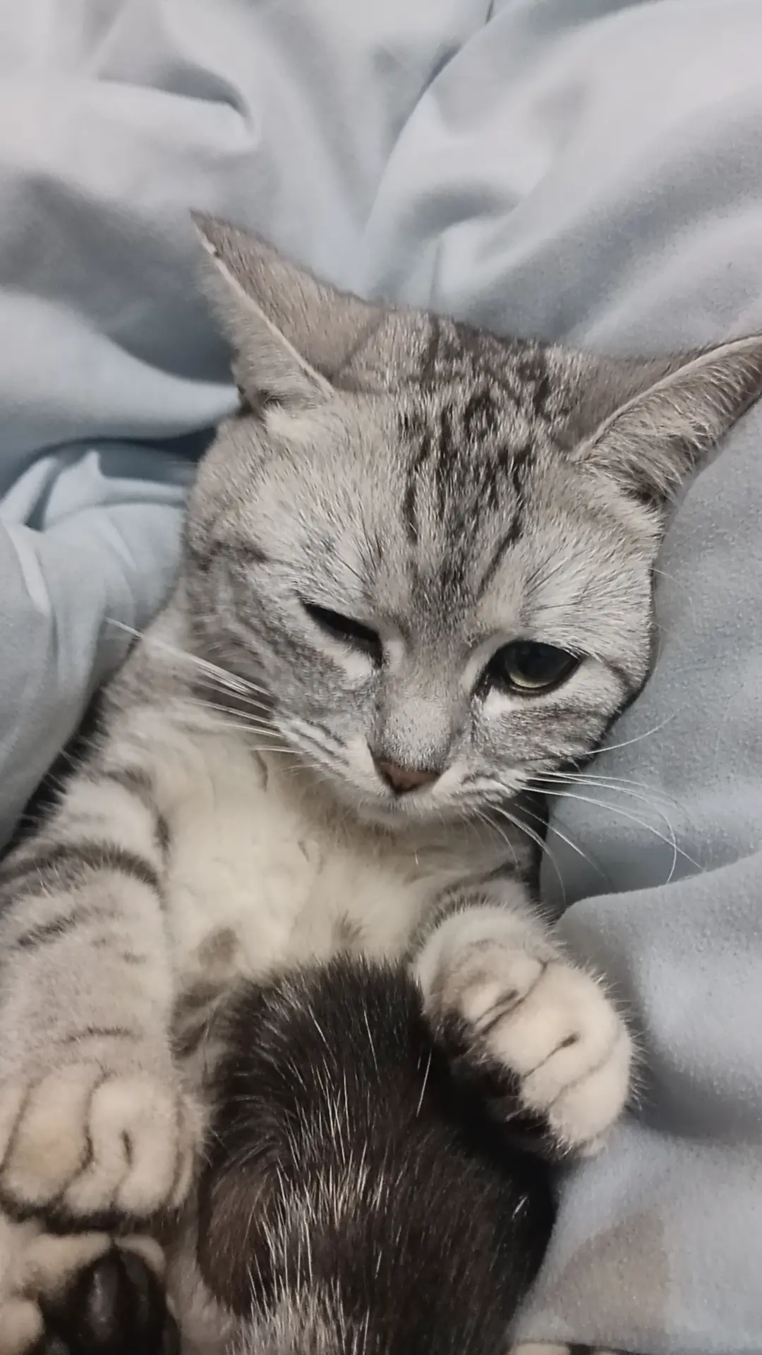 童年往事 - 抱取 童年往事 - 抱取