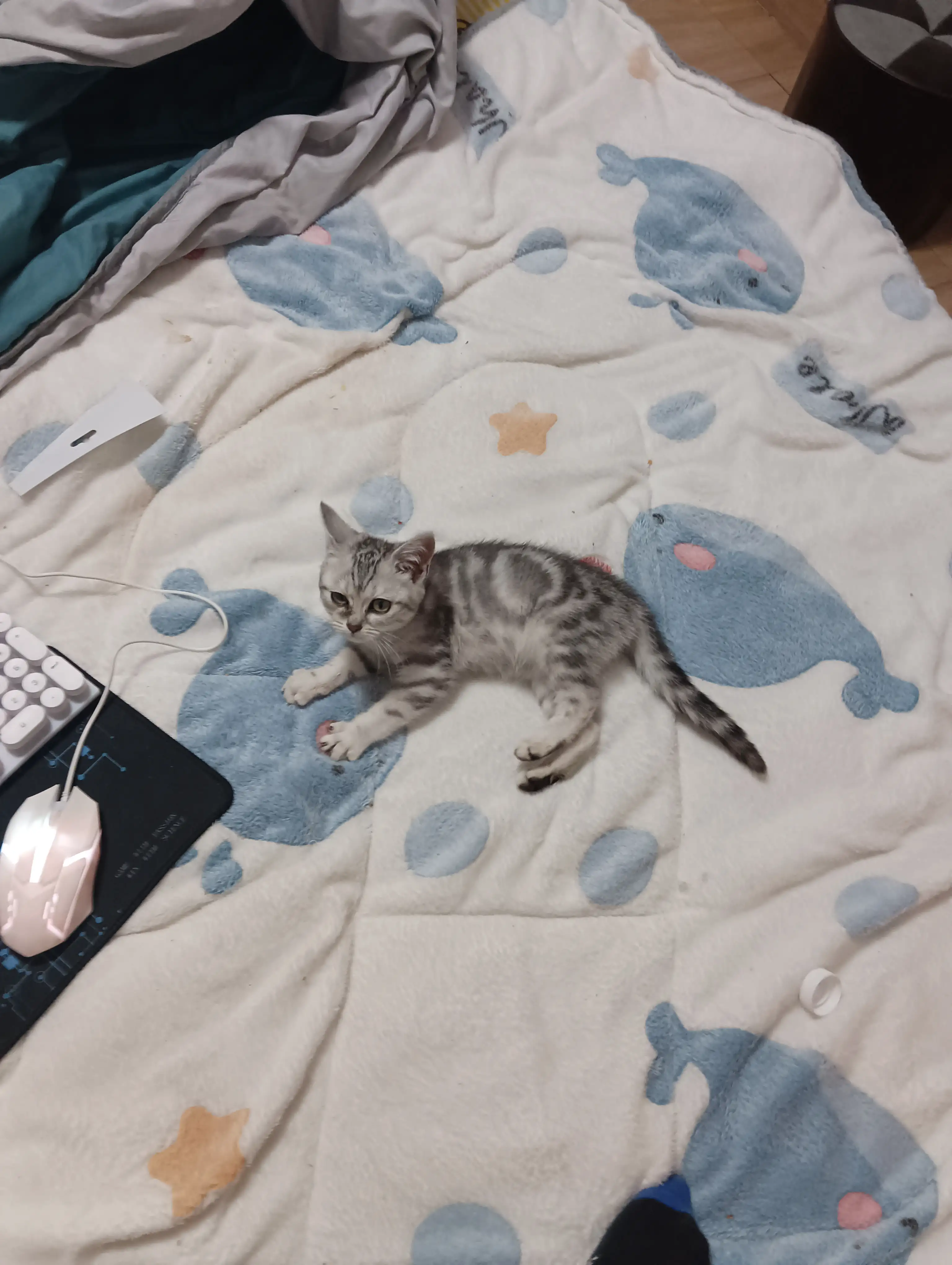 童年往事 - 抱取 童年往事 - 抱取