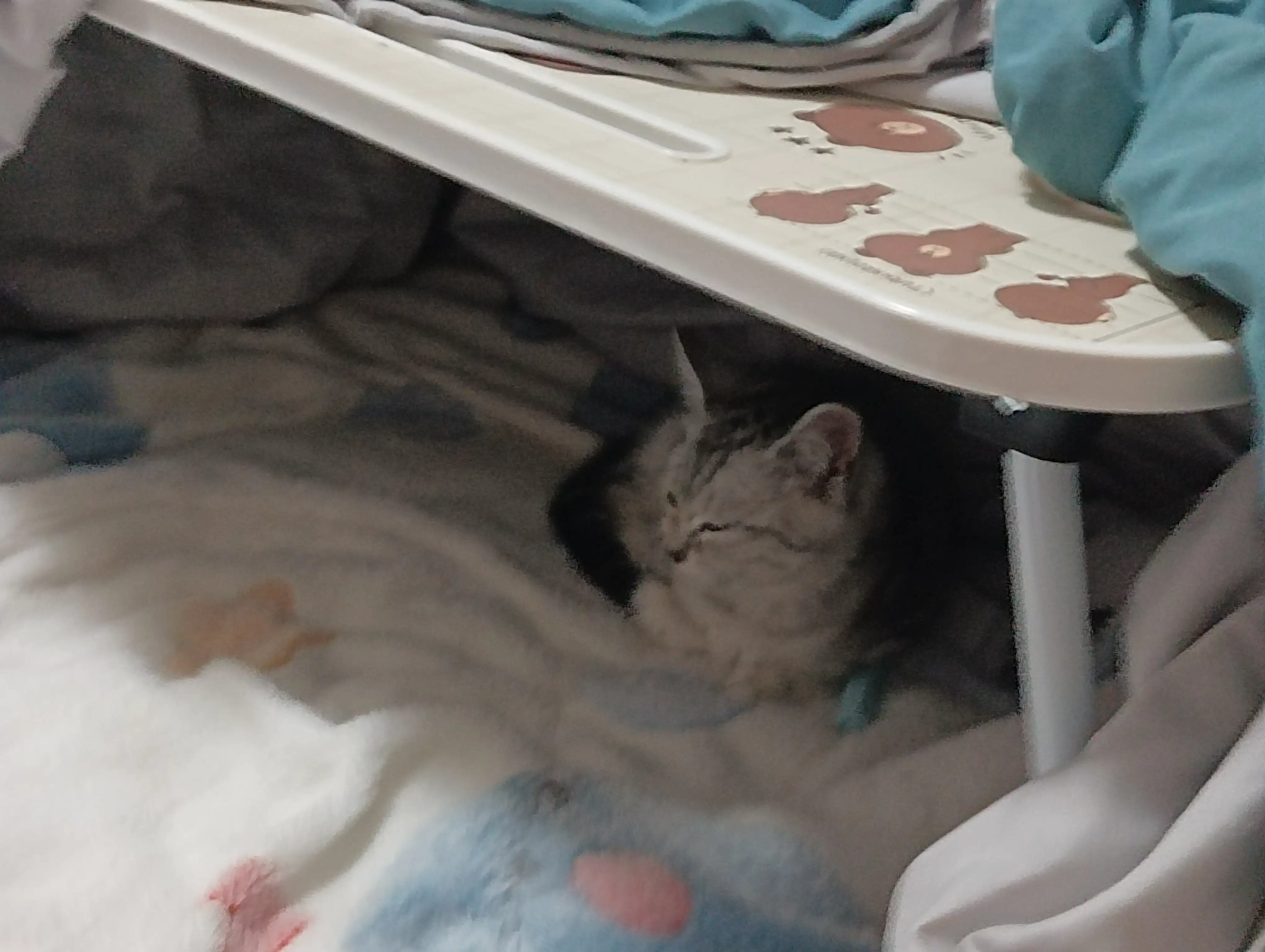 童年往事 - 抱取 童年往事 - 抱取