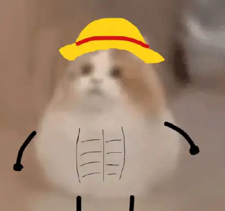 琐记🫠 - 第11张 琐记🫠 - 第11张