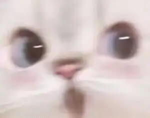 琐记🫠 - 第6张 琐记🫠 - 第6张